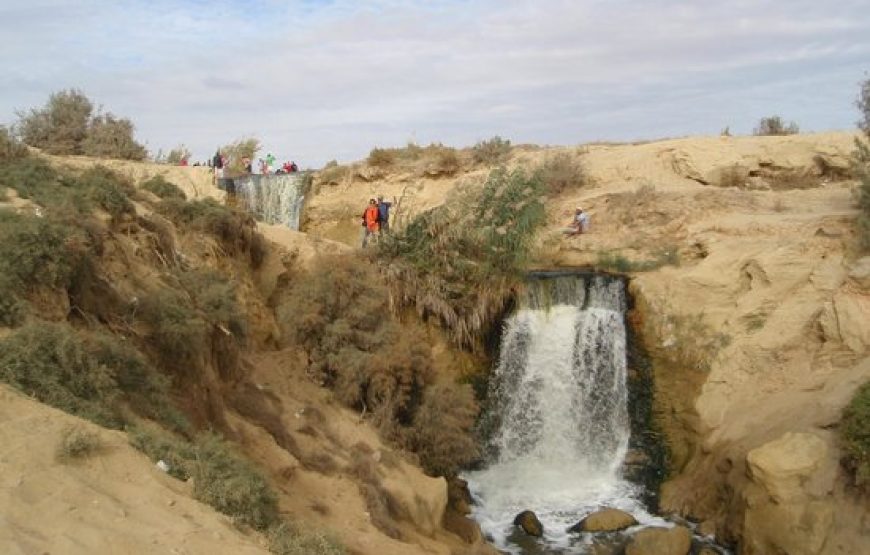 Fayoum day Tour from Cairo