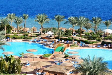 Città Marsa Alam,Porto Ghalib,attivita