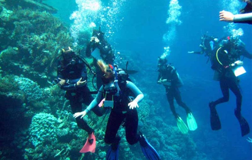 Cairo, Pyramids & Sharm Diving Tours 8 days