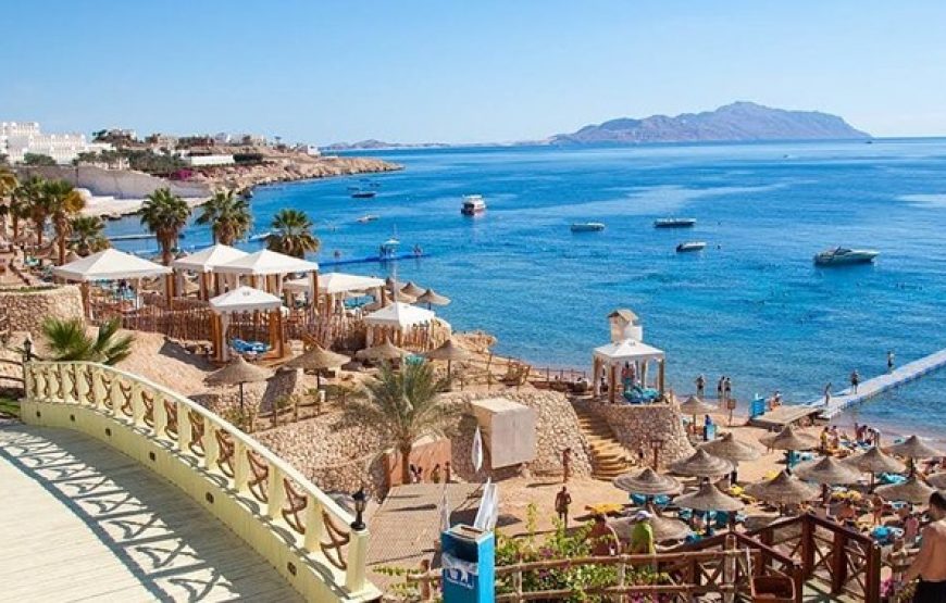 Excursión a Sharm El Sheikh desde El Cairo por Avión Tour un día