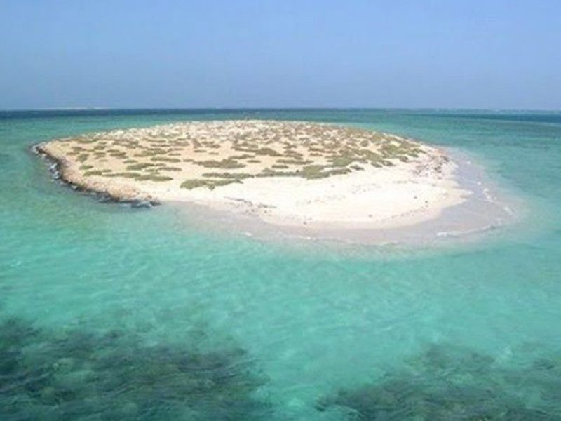  Snorkeling Trip at Hamata Islands From Marsa Alam 