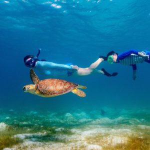 Hurghada Snorkeling Tour From Safaga Port