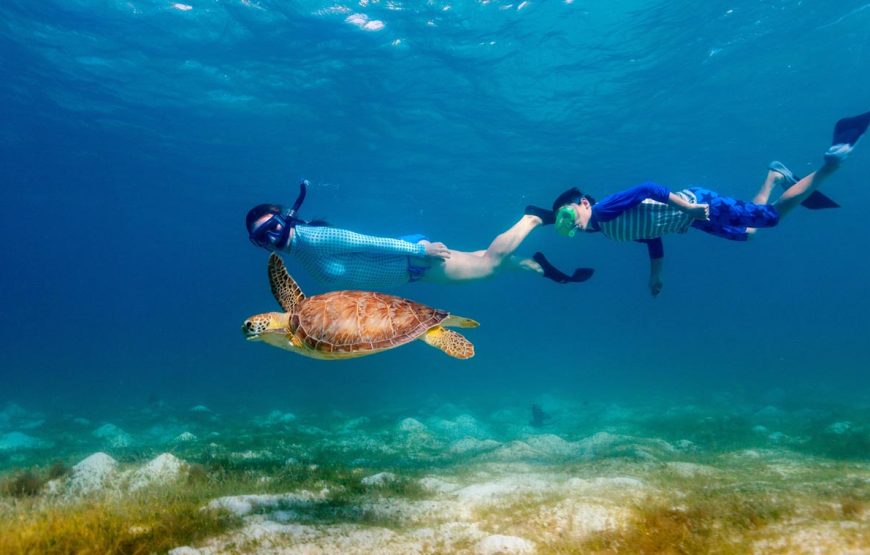 Crociera sul Nilo, Cairo,Hurghada per 11 Giorni