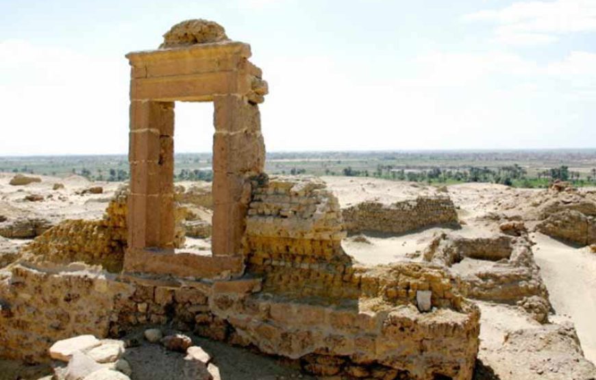 Viaje a El Fayoum Wadi El Hitan desde El Cairo 02 Días