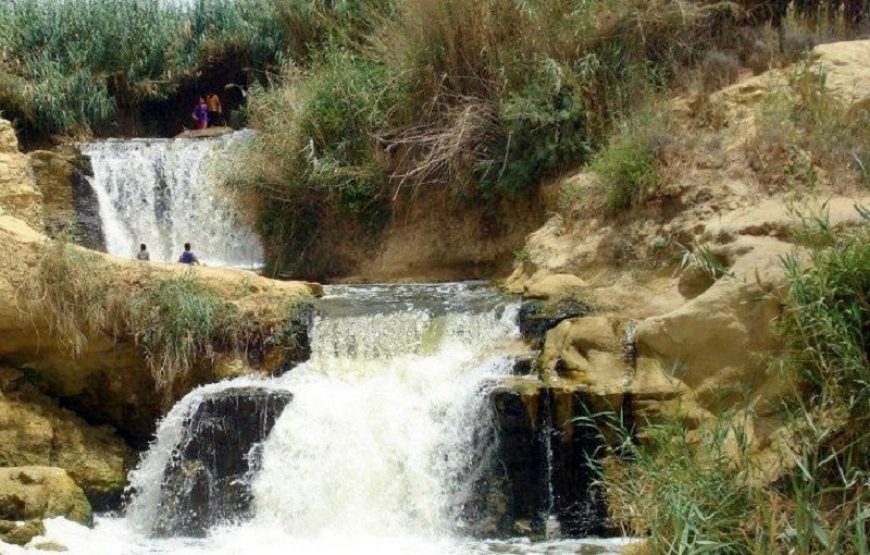 Viaje a El Fayoum Wadi El Hitan desde El Cairo 02 Días