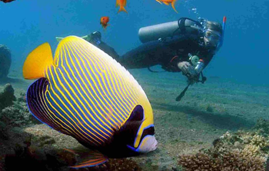 Red Sea Hurghada snorkeling Trip by flight 2 Day