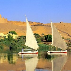 El Oasis de Dakhla