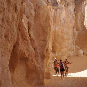 Tour de safari por el Cañón del Colorado