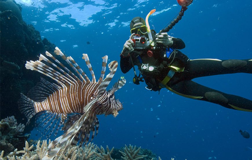 Blue Hole Tour From Dahab