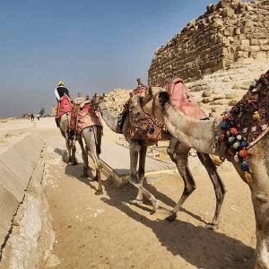 Excursión en El Cairo