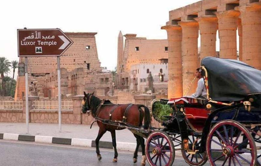 Tour al Banco Este en Luxor y Templo de Karnak