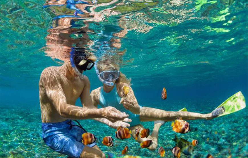 Hurghada Snorkeling Tour From Safaga Port