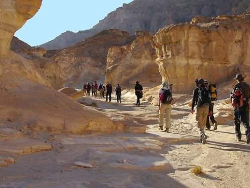  Camping dans le désert du Sinaï et voyage d'aventure pendant 7 jours 